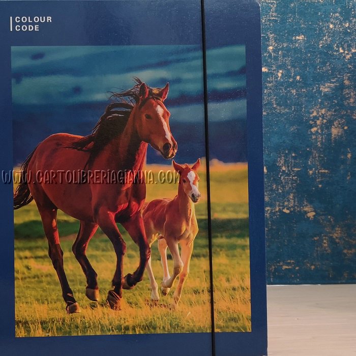 Cartellina con elastico – Seven Animal Freed - immagine 4