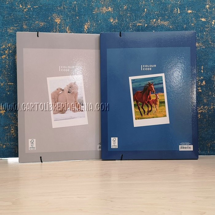 Cartellina con elastico – Seven Animal Freed - immagine 3