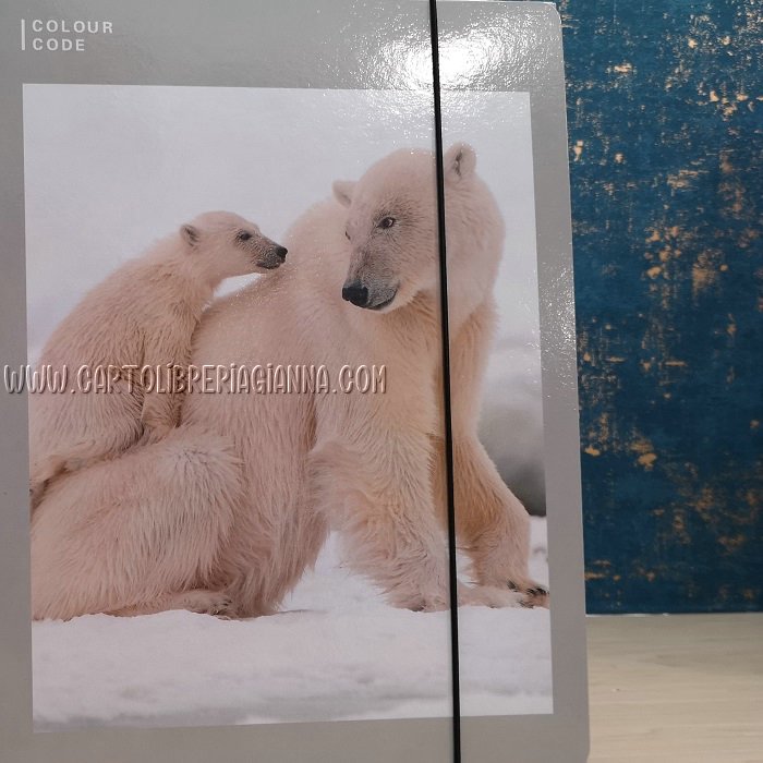 Cartellina con elastico – Seven Animal Freed - immagine 5