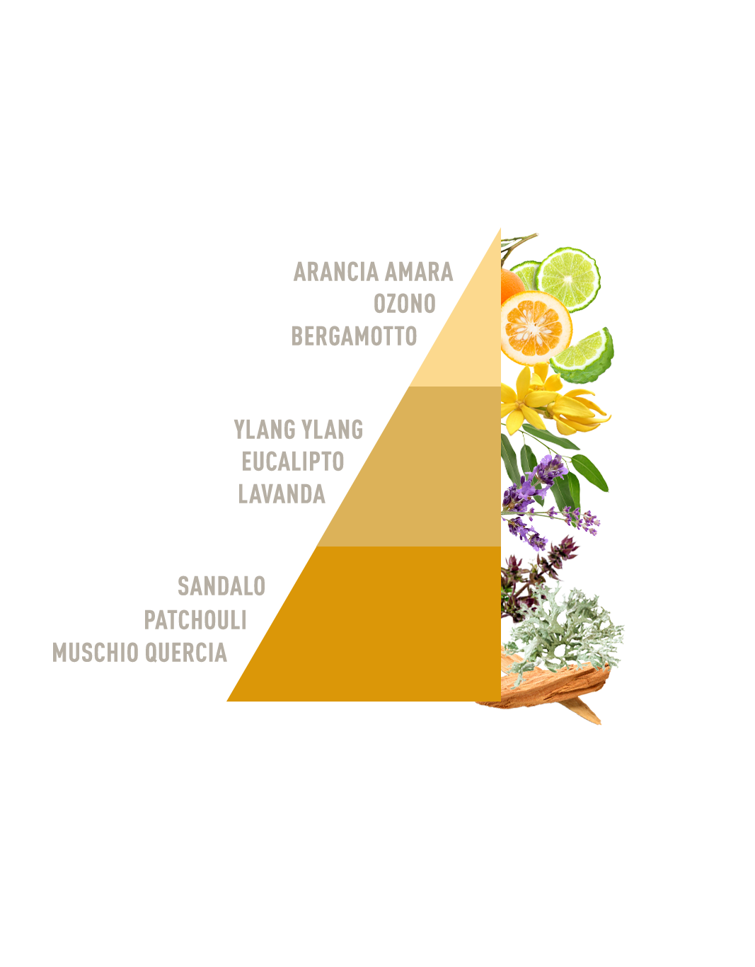 Horomia Profuma Bucato Sandalo e ylan ylang bio - immagine 3